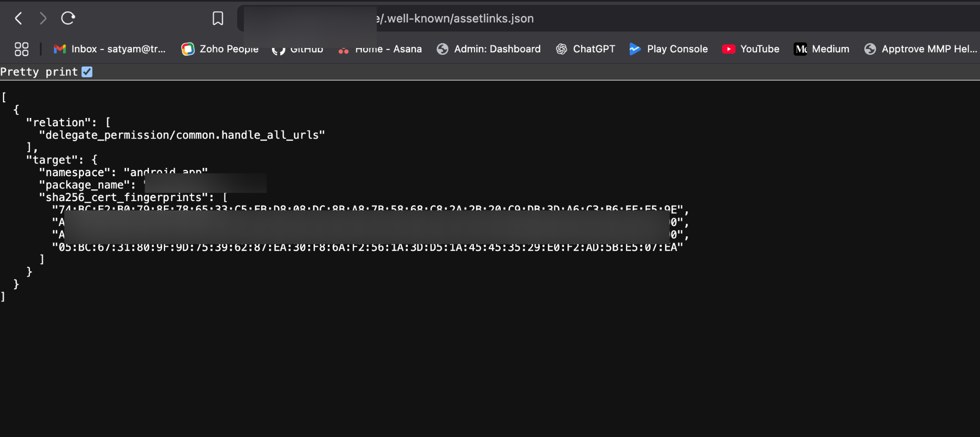 AssetLink.Json Configuration